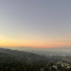 Meet your Posher, Phoebe